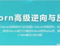 Unicorn高级逆向工程与代码反混淆实战教程