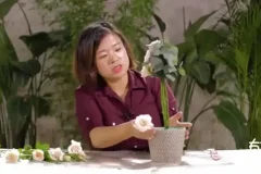 20节插花视频教程：从入门到进阶的花艺技巧与生活美学