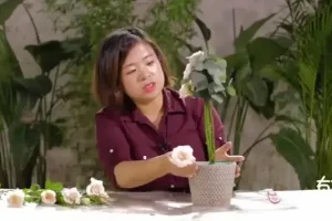 20节插花视频教程：从入门到进阶的花艺技巧与生活美学