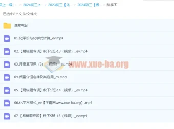 2024初三中考化学 杨雯智S秋季班（下）系统课程