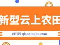 新型云上农田：全民种田收米，无人机播种，三位数管道收益推广无上限