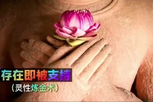 詹唐宁《显化心法高阶课》：11节系统课程+12项练习，解锁心想事成的内在力量