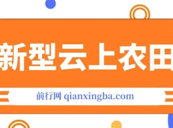 新型云上农田：全民种田收米，无人机播种，三位数管道收益推广无上限