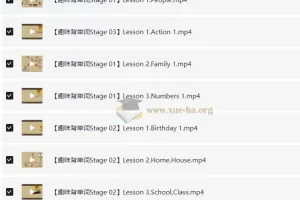 乐乐背单词【105集 视频+PDF习题+答案】趣味动画高效记忆小初高核心词汇