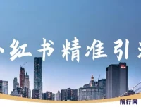 小红书精准引流实操教程，聚焦减肥、祛痘、创业粉，单人日引100+用户