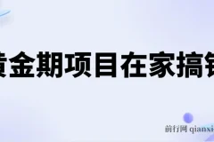 黄金期电商项目：手机操作，日赚500+，新手可上手