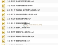 抖音AI直播精英流量特训营：从账号搭建到千川投放，全域流量变现实战全课