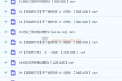 【2024春下】初二数学人教 刘岩数学S班 精品课程