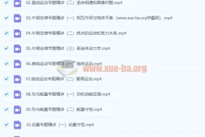 2024高三高考物理 蔡钧安一轮暑假班系统精讲