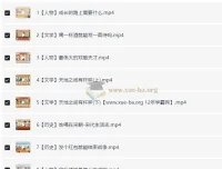 2025四年级语文培训大语文课程合集