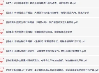付费研报与大佬观点合集：6月29日更新，精选行业深度分析