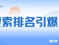 王通《搜索排名引爆点》实战课程