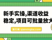 新手实操：单号日入500+，渠道收益稳定，项目可批量放大