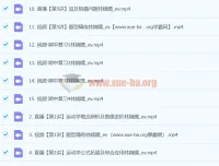 2024高一物理秋季班 林婉晴课程精讲（更新中）
