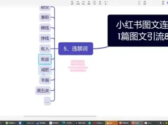 小红书爆款图文引流与连爆秘籍：从养号到私域转化全攻略