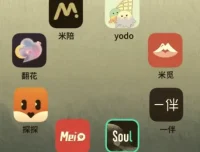 社交软件玩法大全：Soul/陌陌/探探/世纪佳缘/MarryU/Tinder/她说/积木全平台实战教程