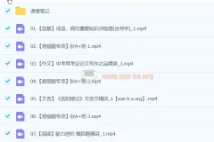 2025初三中考语文 柳宁语文暑假班 系统提升课程