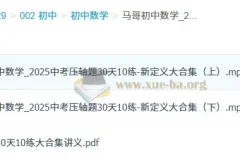 马哥初中数学2025中考压轴题30天10练·新定义大合集