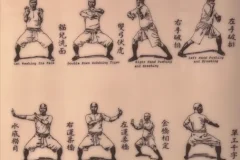 国术大全·打拳谱清木刻版 百派绝学实战秘笈珍藏集