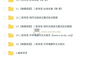 2025段微微初三语文中考培训班·春上全国版A+课程资料