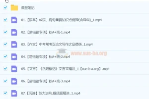 2025初三中考语文 柳宁语文暑假班 系统提升课程