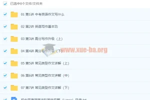 初中英语深度进阶写作专题（Lance）系统课