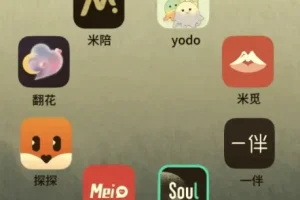 社交软件玩法大全：Soul/陌陌/探探/世纪佳缘/MarryU/Tinder/她说/积木全平台实战教程