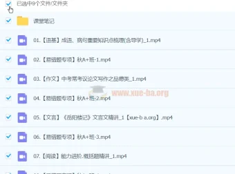 2025初三中考语文 柳宁语文暑假班 系统提升课程
