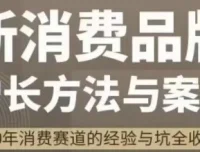 新消费品牌增长方法与案例：王岑PROPELGT八字心法实战解析