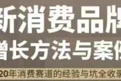 新消费品牌增长方法与案例：王岑PROPELGT八字心法实战解析