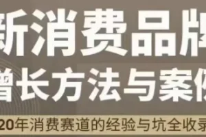 新消费品牌增长方法与案例：王岑PROPELGT八字心法实战解析