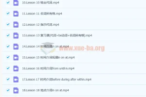 抖音网红英语名师雪梨初级英语语法课71讲（含配套讲义）