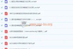 2024高三高考生物十一集训课：遗传规律解题方法专项突破