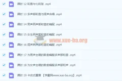 子淼和音编写指南：从基础到进阶