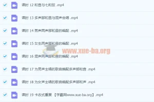 子淼和音编写指南：从基础到进阶