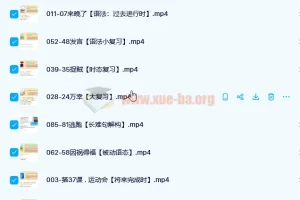 英语名师Frank 新概念英语第二册96讲完整课程（含讲义）