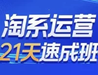 0基础淘系运营21天速成班：从开店到爆款，每月更新实战技术