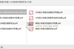荣恒小学语文合集与斗半匠语文修辞手法专项训练资料