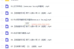 李爽数学2024初二数学A+春季班下 系统课程资料