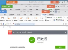 WPS Office 2023 专业增强版 v12.8.2.19823 永久激活版