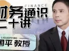 财务通识二十讲：李国平教授带你构建财务思维底层逻辑