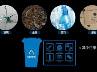 乐乐课堂生物大百科191集动画视频，系统构建生物知识体系