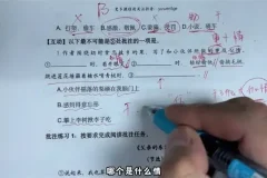 家长必修的文学素养与批注技巧全攻略