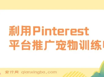 Pinterest推广宠物训练电子书，零基础业余时间上传图片赚美金