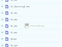 2023春上小学语文二年级A+于戈子琦课程资料合集