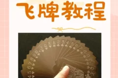 飞牌教程：从零基础到花式玩法，圆你童年飞牌梦