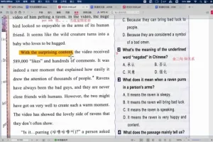 盖老师八年级英语语法阅读写作提分课，576节系统精讲+专项训练