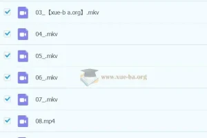 2023春上小学语文二年级A+于戈子琦课程资料合集