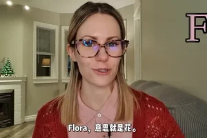 Kristin核心英语课：旅行+职场+文化300+场景化教学，网红名师带你沉浸式学英语