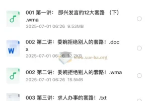 口才套路学：好口才速成秘笈（全系列音频+文字资料）
